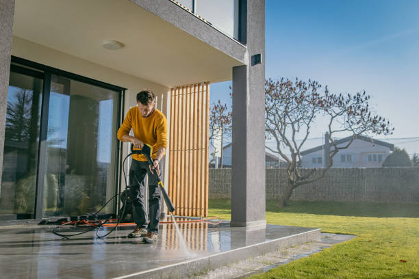 Best Pre-Holiday Cleaning  in Rancho Alegre, TX