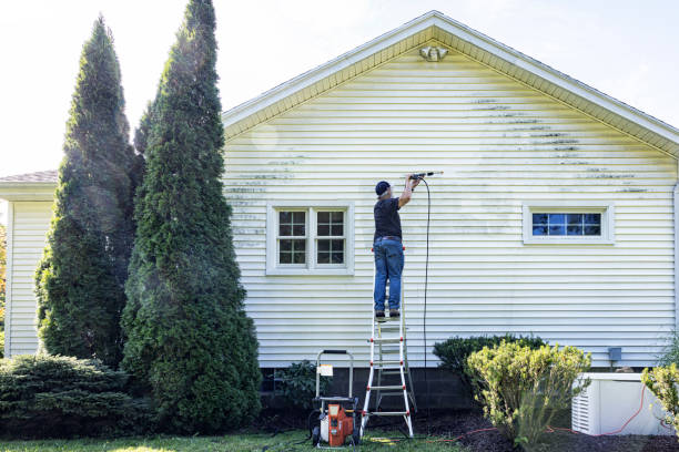Best Patio and Deck Pressure Washing  in Rancho Alegre, TX
