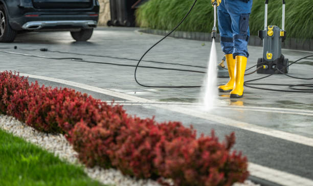 Best Driveway Pressure Washing  in Rancho Alegre, TX